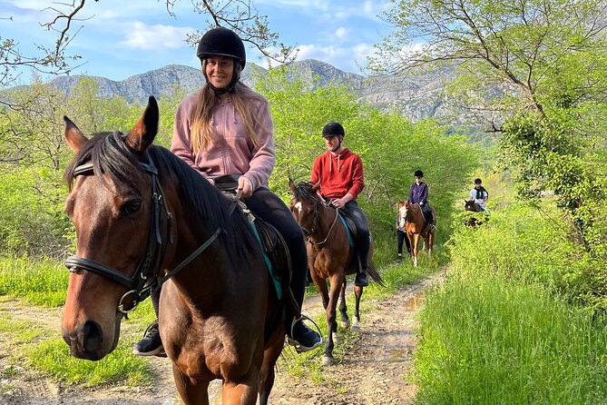 Horseback Riding Experience with transport from Dubrovnik - Dubrovnik transport and the 9:00am start: how the day flows