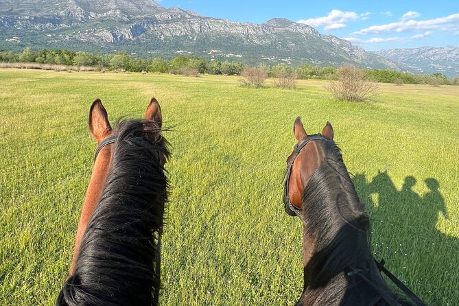 Horseback Riding Experience with transport from Dubrovnik - Snježnica views, vineyards, and a trail ride that suits beginners