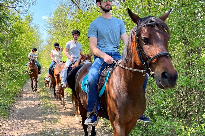 Horseback Riding Experience with transport from Dubrovnik - What the post-ride spread includes (and why it’s part of the value)
