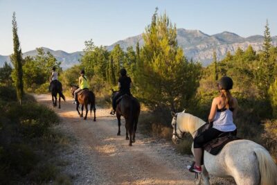 Horseback Riding in Konavle Region with Transport from Dubrovnik - Your First Steps on Horseback: Safety Gear and a Slow Start