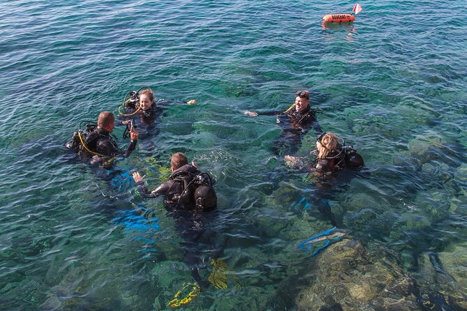 Intro Dive in Dubrovnik - Meeting at Blue Planet on Masarykov put
