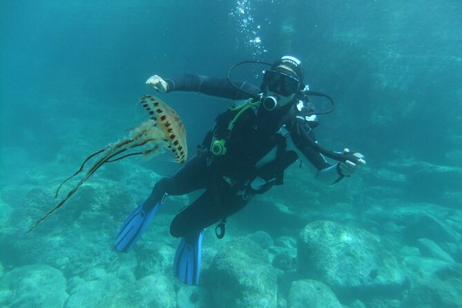 Intro Dive in Dubrovnik - Price and timing: making the most of the 2.5 hours