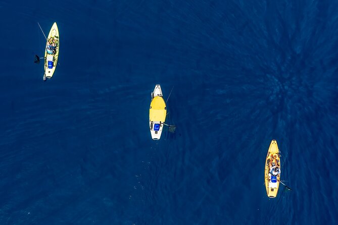 Kanjac Kayak Fishing Cavtat - Price and value: does $155.14 per person make sense?