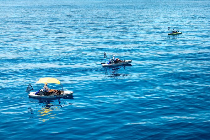 Kanjac Kayak Fishing Cavtat - What you actually do on the water (and when)