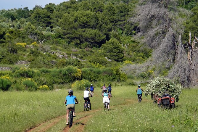 Kayak and Bike Tour to Sipan island from Lopud - Key Points You’ll Really Care About