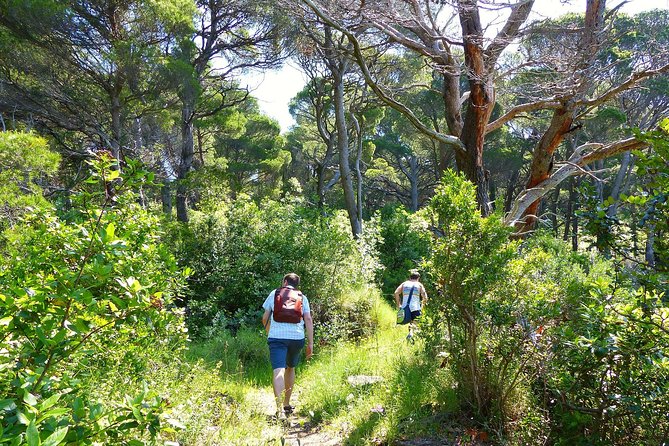 Kolocep Island Hiking and Swimming Full Day Trip from Dubrovnik - Price and value: what you’re paying for (and what you’re not)