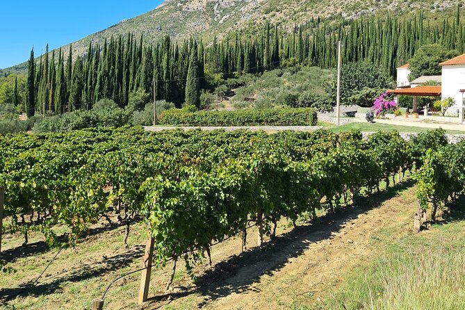 Konavle Gastro & Culture Tour (Private Tour) - Pridvorje Franciscan monastery: 45 minutes of stillness and story