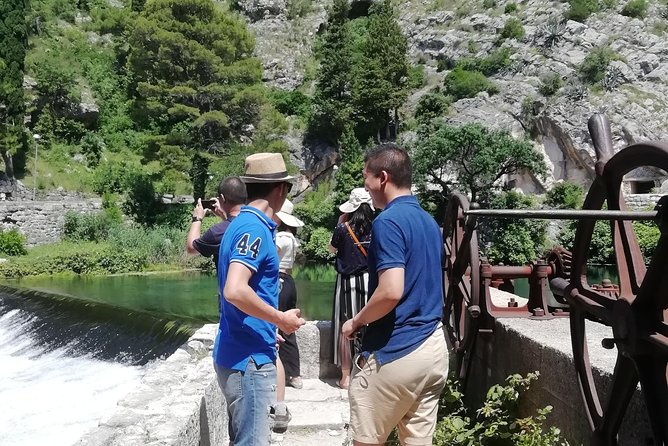 Konavle Gastro Tour From Dubrovnik - Food-and-Wine Rhythm: What the Timing Feels Like