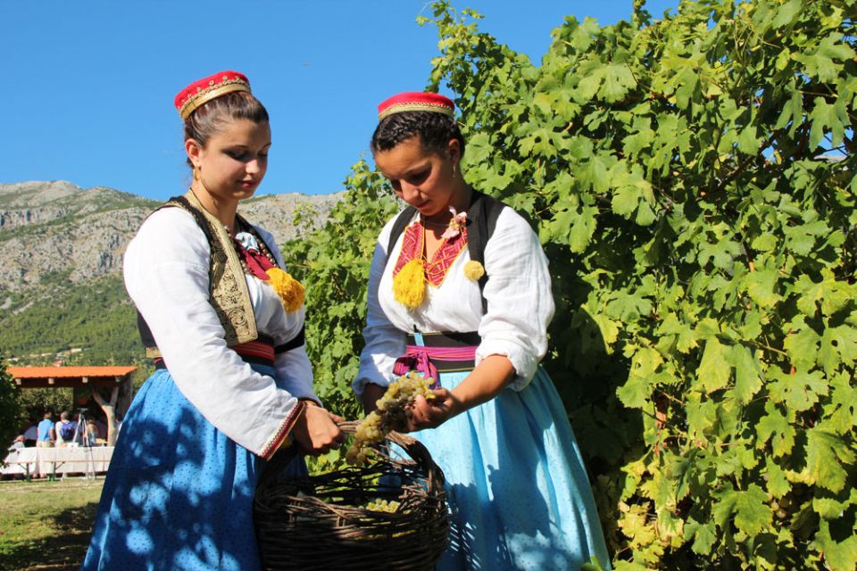 Konavle Valley: Private Half-Day Tour with Wine Tasting - Key highlights worth making room for