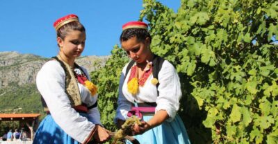 Konavle Valley: Private Half-Day Tour with Wine Tasting - Cavtat town and the Cavtat Hill viewpoint stop
