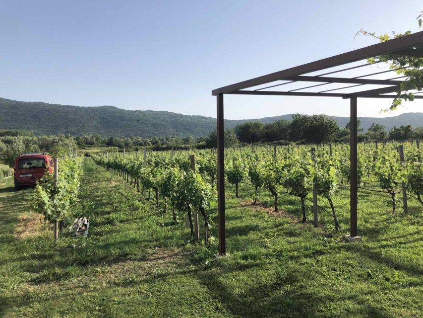 Konavle Valley: Private Half-Day Tour with Wine Tasting - River Ljuta and Konavoski dvori: your calm hour in greenery