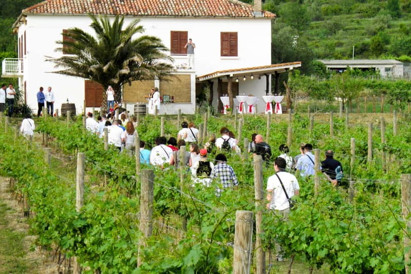 Konavle Valley: Tour with Wine Tasting from Dubrovnik - Key highlights worth planning around