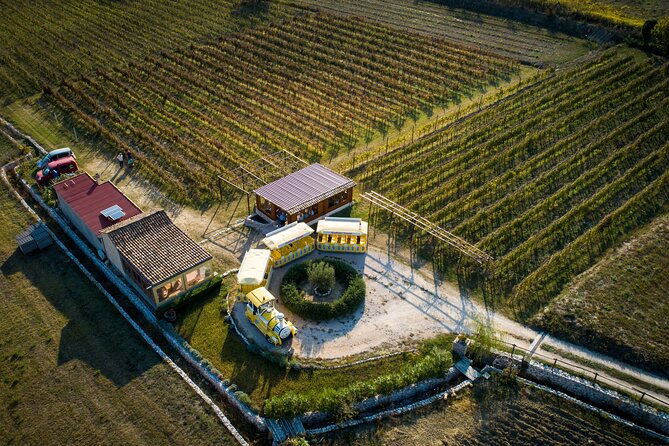 Konavle Valley Wine Tour from Dubrovnik with Train Ride and Wine Tasting - Konavle Valley by Coach and Train: Why This Dubrovnik Wine Day Feels Effortless