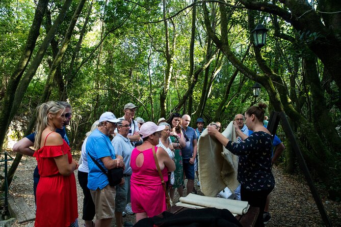 Konavle Valley Wine Tour from Dubrovnik with Train Ride and Wine Tasting - Stop 3: Winery Botaro and the Rose + Traditional Spongecake