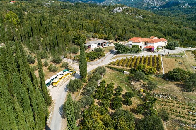 Konavle wine tasting tour from Dubrovnik with 2 vinery's - Mlini-Srebreno Bonus Time: Beach Bar Drinks or a Sea Walk Reset
