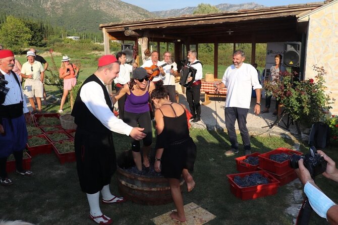 Konavle wine tasting tour from Dubrovnik with 2 vinery's - Who Should Book This Tour (And Who Might Not Love It)