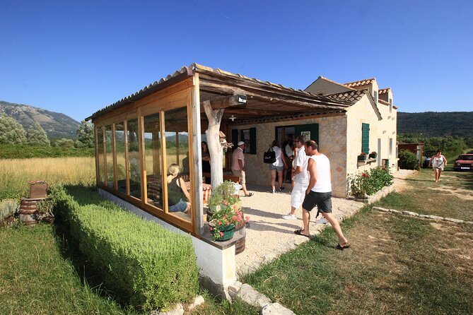 Konavle wine tasting tour from Dubrovnik with 2 vinery's - Should You Book the Konavle Wine Tasting Tour With Two Vineyards?