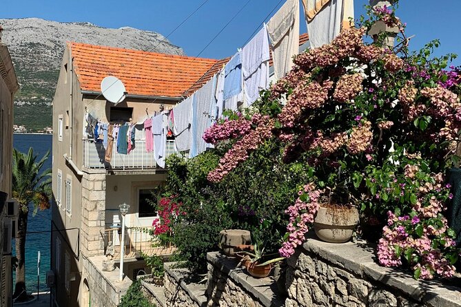 Korcula Private Tour - Food and wine stops: local tastings that make the day feel real