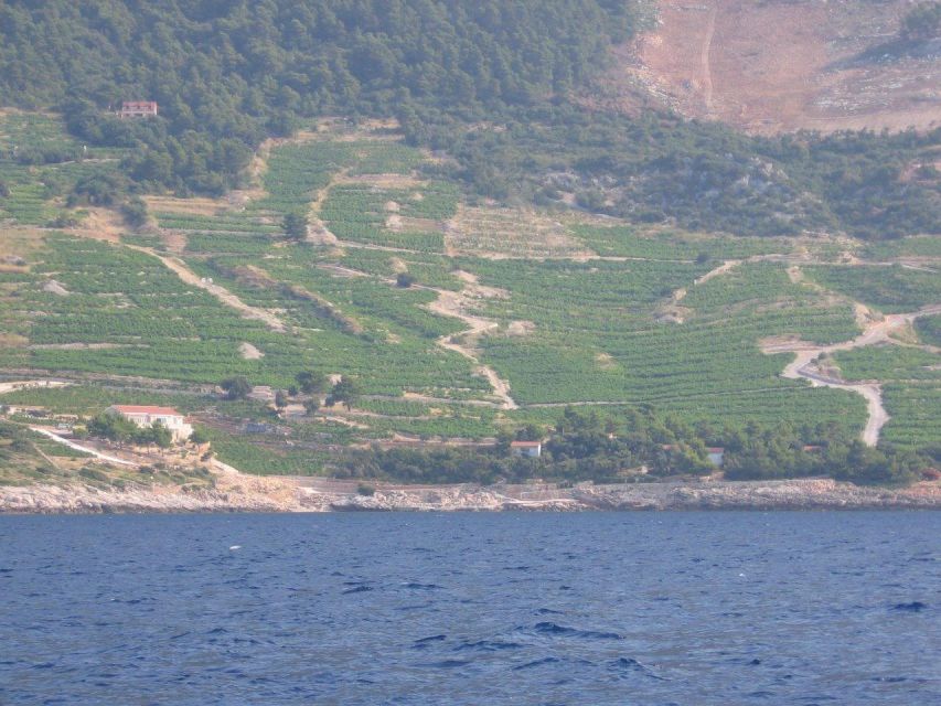 Korčula & Ston Full-Day Private Tour from Dubrovnik - Crossing Toward Korčula by Boat