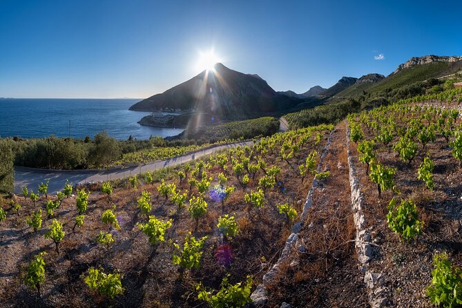 Korčula & Ston: Island Charms, Pelješac Delights & Wine Tasting - Free time, weather, and how to avoid a tired day