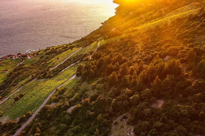 Luxury private transfer Split - Dubrovnik with lunch in Ston - Price and value: what you’re really paying for at $344.46 per person