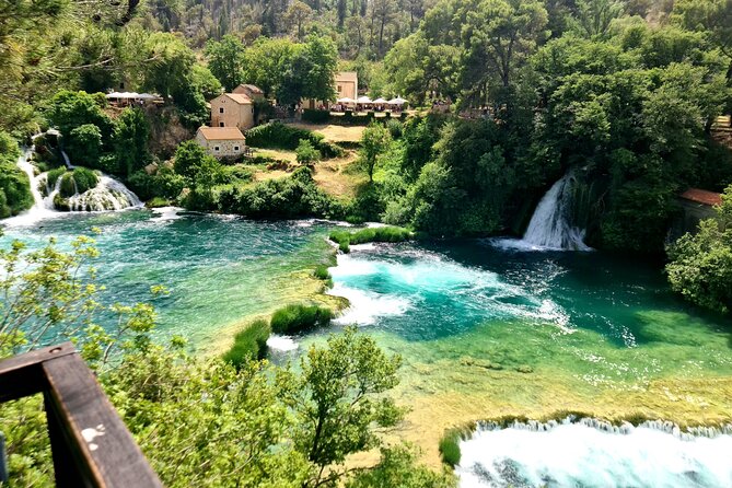 Mljet Island tour from Dubrovnik - How the Guide Changes Your Day (And the One Language Catch)