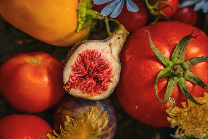 Olive farm & village - Quick Hits: Olive Oil, Liqueur, and a Family Farm Near Dubrovnik