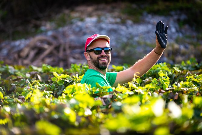 Olive farm & village - Classroom Outdoors: What Ivica Shares About the Farm