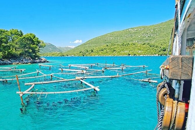 Oyster farm experience / Private day trip from Dubrovnik - Key highlights you’ll feel right away
