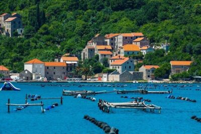 Oyster farm experience / Private day trip from Dubrovnik - Majkovi viewpoint: the quickest way to grasp the whole coastline