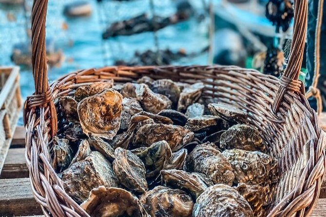 Oyster farm experience / Private day trip from Dubrovnik - Who should book this oyster farm day trip