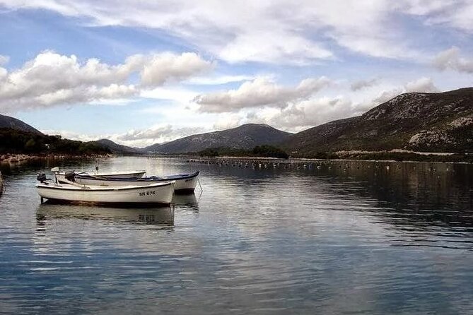 Oysters and mussels tasting with wine in Ston and Pelješac - Key highlights you should care about