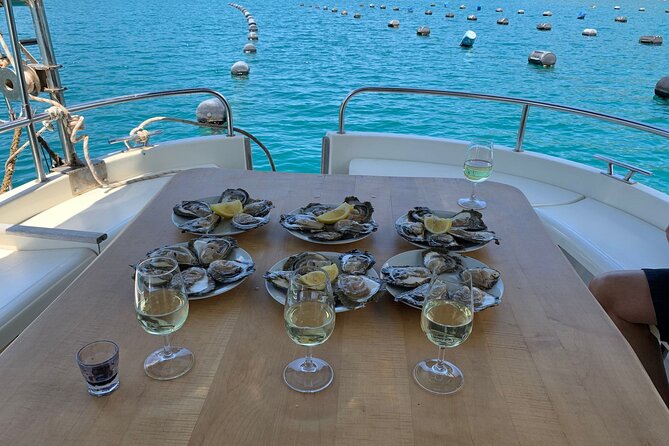 Oysters and mussels tasting with wine in Ston and Pelješac - Škurla winery in Pelješac: wine stories plus a homemade plate