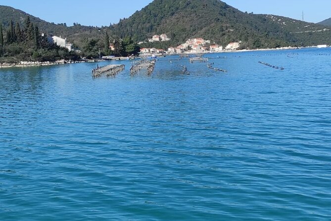 Oysters and mussels tasting with wine in Ston and Pelješac - Oysters, then mussels: how the order helps your palate