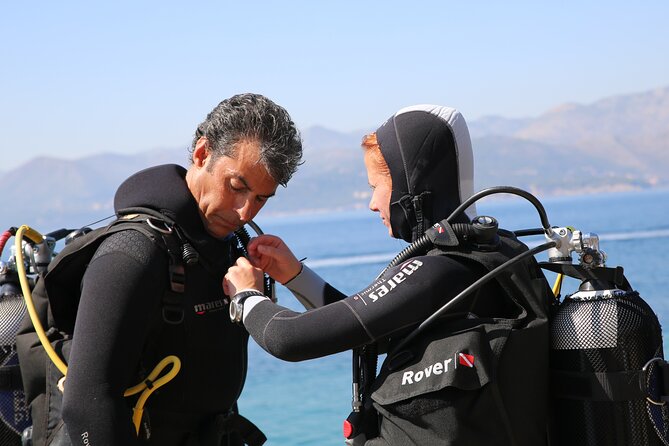 PADI Discover Scuba Diving in Dubrovnik - What You’ll See in the Adriatic: Fish, Stops, and Reality Checks