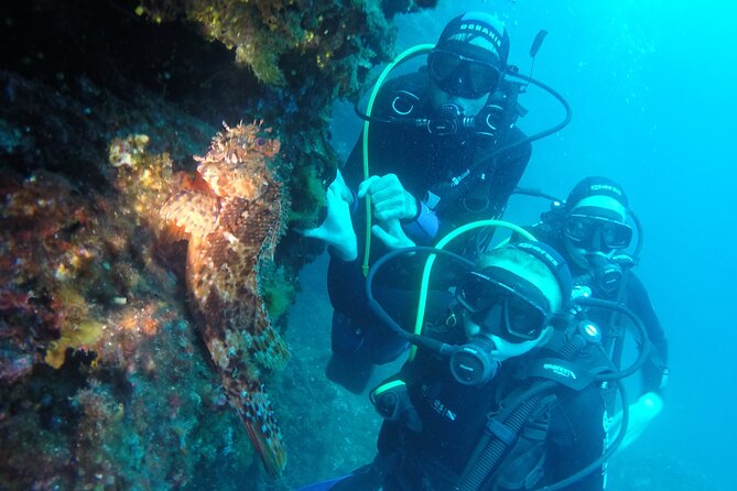 PADI Discover Scuba Diving in Dubrovnik - Price and Value: Is $180.44 Worth It?