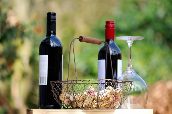 Peljesac Peninsula Wine Tasting Luxury Tour from Dubrovnik - Peljesac Peninsula Time: Where the Wine Country Actually Happens