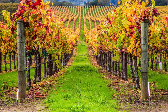 Peljesac Peninsula Wine Tasting Luxury Tour from Dubrovnik - Luxury, But Make It Practical: Mercedes Pickup and a Private Group