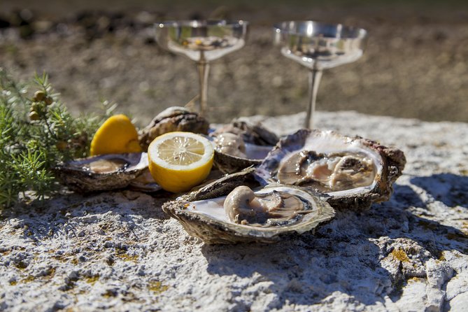 Peljesac Peninsula Wine Tasting Luxury Tour from Dubrovnik - Timing and Day Planning: Make It Work With Your Dubrovnik Schedule