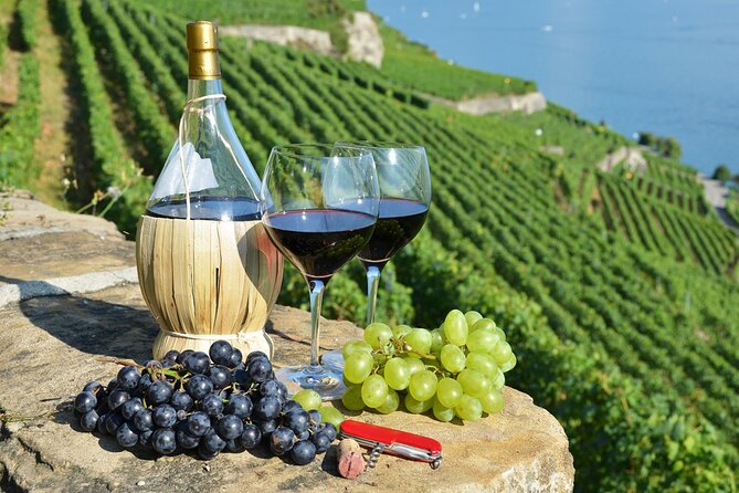 Peljesac Vineyards & Oysters - Private Day Trip from Dubrovnik-Mercedes Vehicle - Key highlights at a glance