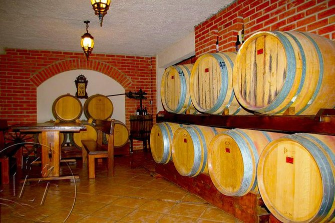 Peljesac Vineyards & Oysters - Private Day Trip from Dubrovnik-Mercedes Vehicle - A private Mercedes day to Peljesac: how the transport changes everything
