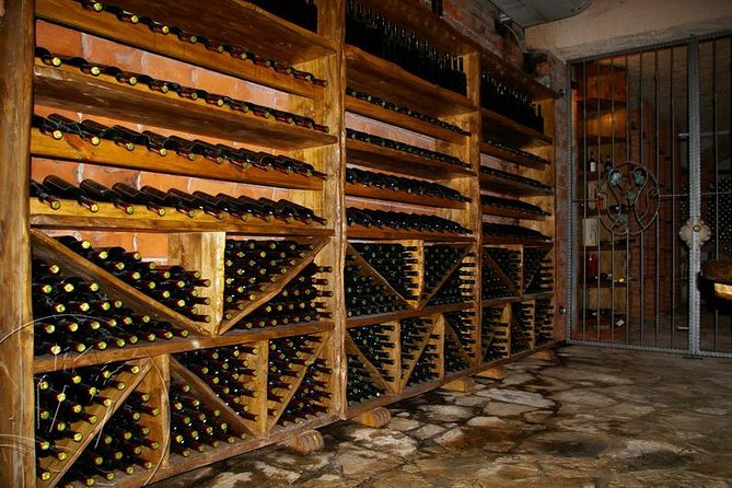 Peljesac Vineyards & Oysters - Private Day Trip from Dubrovnik-Mercedes Vehicle - Time planning for a 6 to 8 hour day: where you’ll feel the squeeze