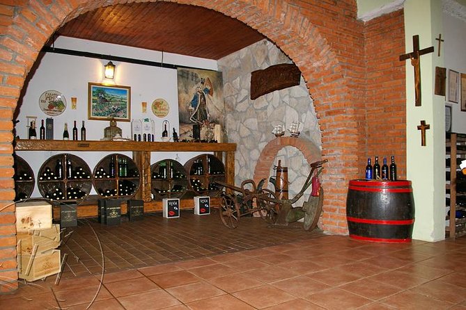Peljesac Vineyards & Oysters - Private Day Trip from Dubrovnik-Mercedes Vehicle - Who this day trip suits best (and who might prefer something else)