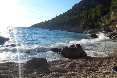 Pelješac Wine, Beach and Lunch - Relaxing Tour from Dubrovnik - Ston Old Town: a quick walk that sets the mood