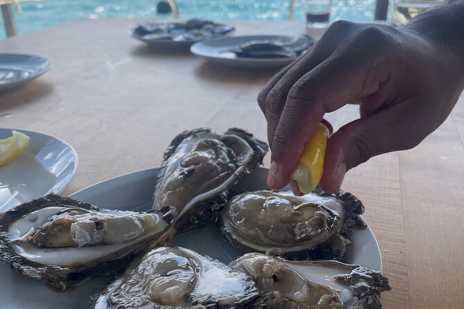 Pelješac - Wine, Oysters and Food Experience from Dubrovnik - Dubrovnik to Pelješac: how the day actually runs