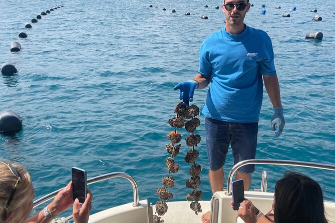 Pelješac - Wine, Oysters and Food Experience from Dubrovnik - Second winery and cellars: guided tasting with a local feel