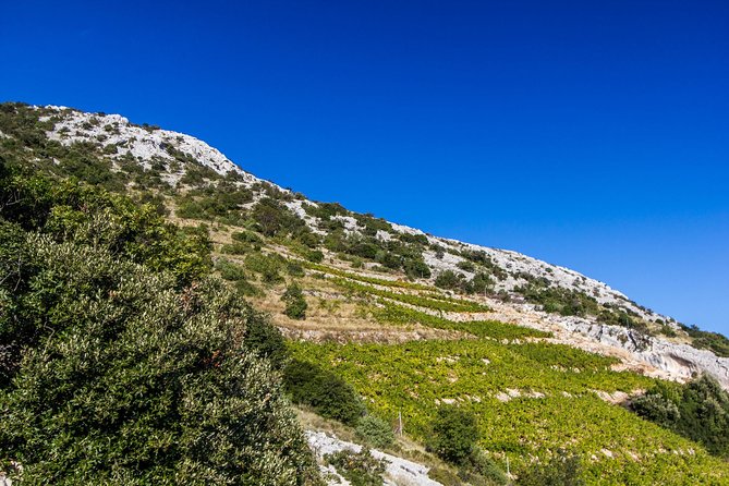 Peljesac Wine & Ston Oysters PRIVATE HALF DAY SHORE TOUR - Ston medieval town walk: walls, salt pans, and where you may pay extra