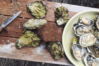 Peljesac Wine & Ston Oysters PRIVATE HALF DAY SHORE TOUR - Ponikve village winery: Plavac Mali and a family presentation