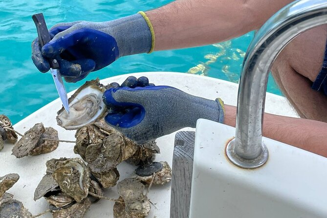 Peljesac Wine & Ston Oysters PRIVATE HALF DAY SHORE TOUR - Who should book this Pelješac wine and oyster tour?