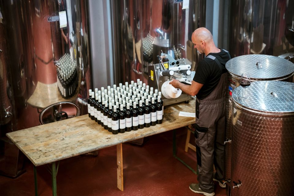 Pelješac wine tasting and local winery visit - Organic olive oil and why it belongs on a wine tour